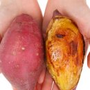 상중농장 이미지