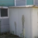 당산강변로 이미지