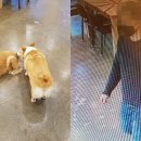 카페 인사이트 이미지