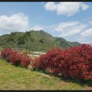 낙동강변20 이미지