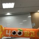 메리포케보울 이미지