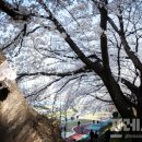 온천천일대7 이미지