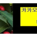하이트라인의원 이미지