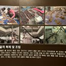 한국자연사박물관 | 아이들과 가볼만한 공룡 박물관 | 공주시 한국자연사박물관