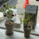 레코드베이커리 - 남동구 용천로 190-2 | 경산 영남대 디저트카페 휘낭시에맛집 데일리레코드 추천