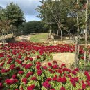 문희농장 이미지