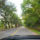 간월산온천 | 울주군 간월산온천 솔직 체험기｜따뜻한 물 속 힐링, 조용한 숲 길 온천욕