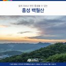 2023. 6. 11.(일) 홍성 백월산 특별산행안내 이미지