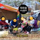 자라섬 캠핑장 이미지