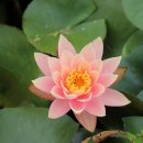 싱그러운청도로(가을) 이미지