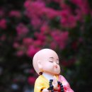 반야사(영동) 이미지