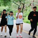 파틀렉 이미지