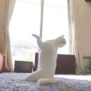 (주)하스 이미지