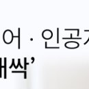메타버스포츠