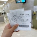 레디카 | 하이원리조트 레디썸머패키지 + 워터파크 케이블카