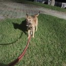 두번째산책 이미지