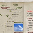 일등여행사 이미지