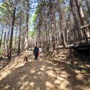 팔영산자연휴양림주차장 이미지