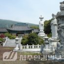 상효동-6 이미지