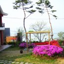 바다정원펜션 이미지