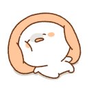 스테이다랑쉬502 이미지