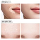 국민 컨실러의 정석, 가성비왕 더샘 커버 퍼펙션 팁 컨실러 솔직 후기