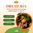 으니농장 | 진심먹거리 제주 친환경 유기농귤 5kg 택배후기