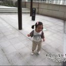 시은 푸드 이미지