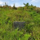 서귀포지방법원 이미지