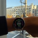 970 | 철인3종에서 가민 활용하기(가민 포러너 970 후기)