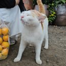 기정농장 이미지