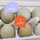 수녕김밥