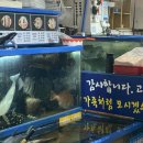 대해수산 이미지