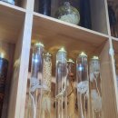 남악골 산야초 이미지