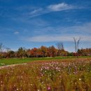순천만국가정원 이미지
