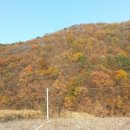 산들이농장 네이버블로그