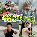(주)넷돌 | [육아일기] 27개월 5개월 아기랑 세종 호수공원, 성수동, 청주 카페, 결혼기념일 여행!
