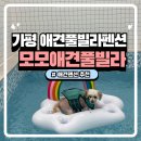 모모애견풀빌라 이미지