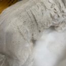 겨울나는나비 동물병원 이미지