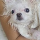 한일동물병원 이미지