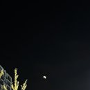 은구비남로(유성-40) 네이버블로그