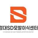 헤어젠 이미지