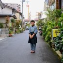 약선차와 건강약선 이미지