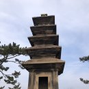 탑리여자중학교 | 의성마늘, 조문국박물관 보다 더 유명한 탑리의 맛집 논산칼국수를 방문하다!