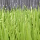 선단초교 이미지