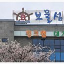 보물섬수산물 | 유성구 구암동에서 회식 장소로 딱 좋은 보물섬수산 방문 후기｜가성비 좋은 스끼다시와 활어회가 인상...