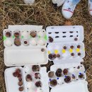 생기율공원 이미지