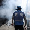 기동반-29 이미지