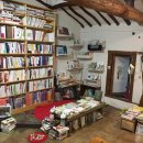 스테이 심심 이미지