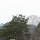 H9118 Daum카페